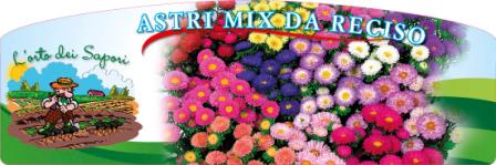 Astri_mix_da_reciso