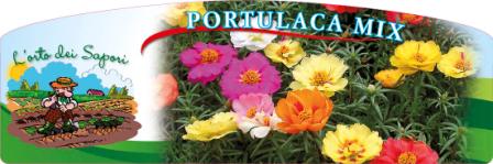 Portulaca mix