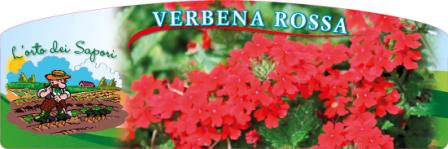 Verbena rossa.jpg