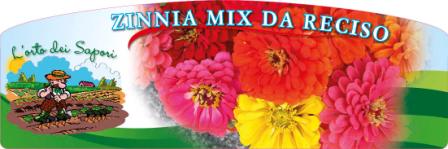 Zinnia mix da reciso.jpg