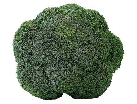 CAVOLO BROCCOLO CALABRESE