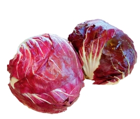 CICORIA ROSSA DI CHIOGGIA