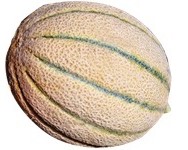 EXTRA MELONE F1 RETATO