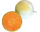 EXTRA MELONE F1
