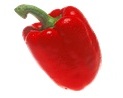 EXTRA PEPERONE F1 ROSSO