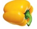 EXTRA PEPERONE F1