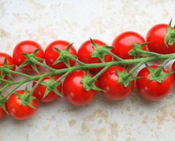 EXTRA POMODORO CILIEGIA F1
