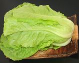 LATTUGA ROMANA