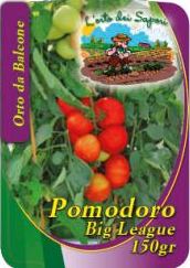 Peperone Loco Bicolore