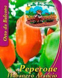 Peperone Habanero Arancio