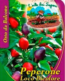 Peperone Loco Bicolore