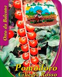 Pomodoro Ciliegia Rosso
