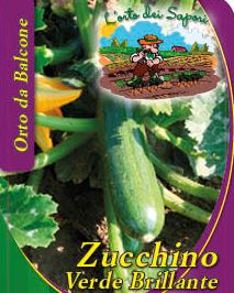 Zucchino Verde Brillante