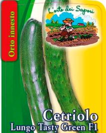 Cetriolo Lungo Tasty green