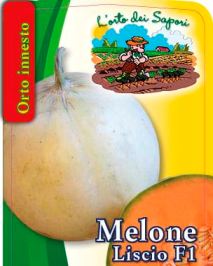 Melone Liscio F1