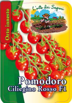 Pomodoro Ciliegino Rosso F1