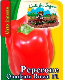 Peperone quadrato rosso F1