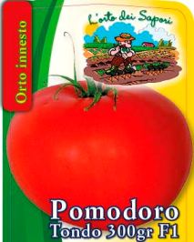 Pomodoro tondo 300gr. F1