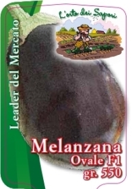 Melanzana ovale f1