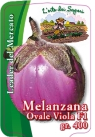 Melanzana ovale viola f1