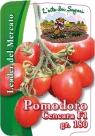 Pomodoro cencara f1