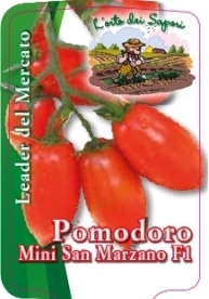 Pomodoro mini san marzano f1
