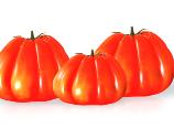 POMODORO CUOR DI BUE ALBENGA