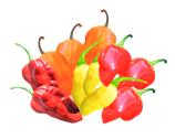 SUPER EXTRA PEPERONE PICCANTE HABANERO