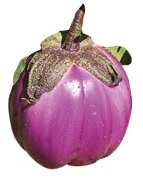 EXTRA MELANZANA F1 OVALE VIOLA