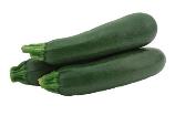 EXTRA ZUCCHINO F1